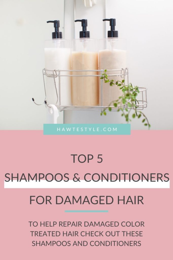 Top 5 Shampoos & Conditioners