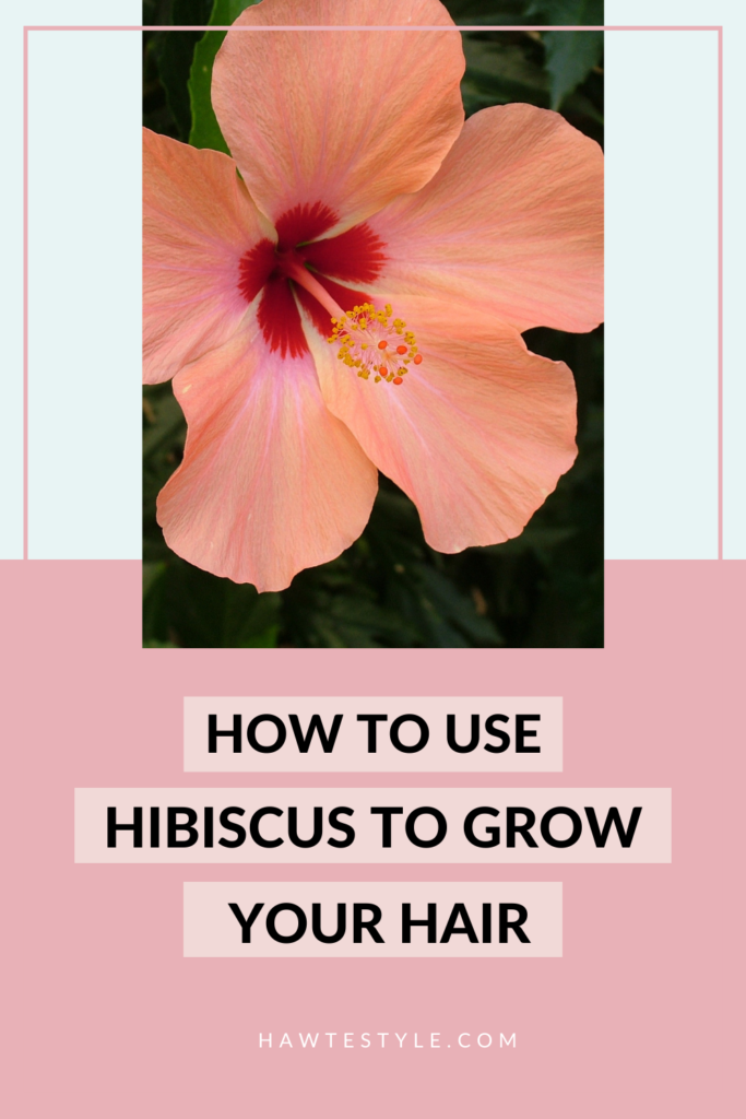 HIBISCUS FOR HAIR GROWTH -